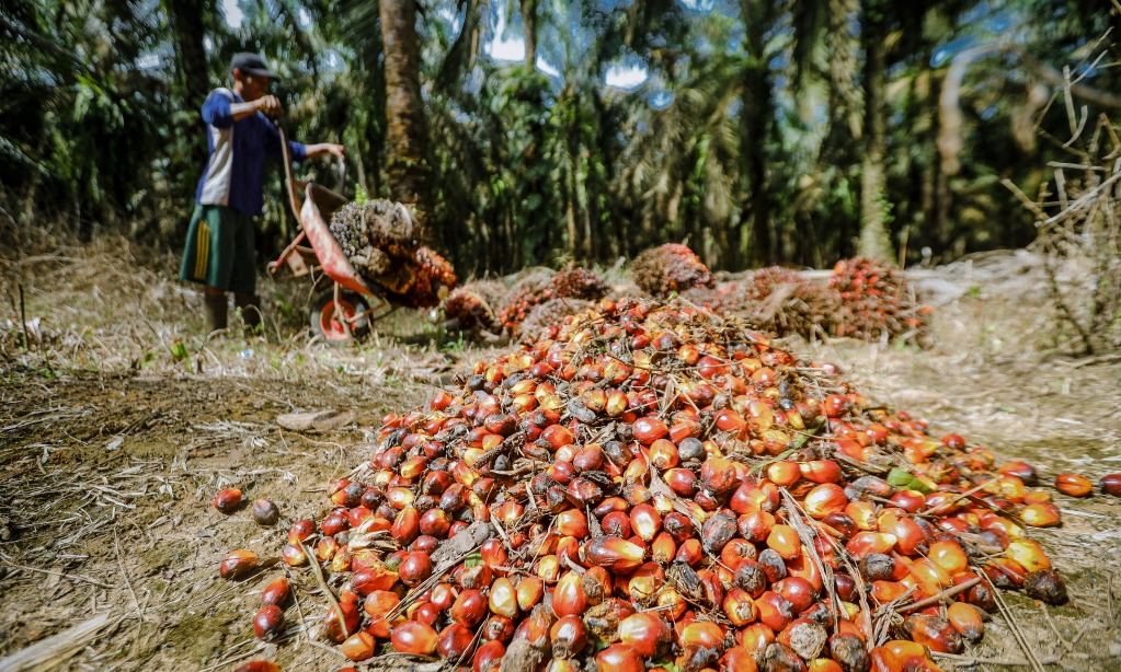 BPKP-Kejagung Audit Tata Kelola Industri Sawit