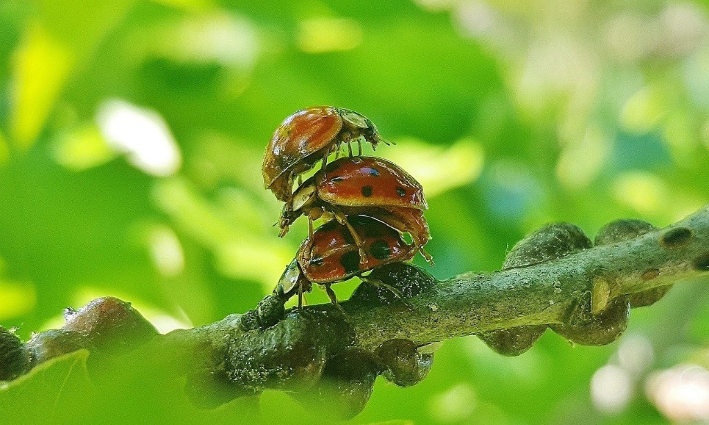 Mengenal Lebih Jauh Apa Itu <i>Threesome</i>
