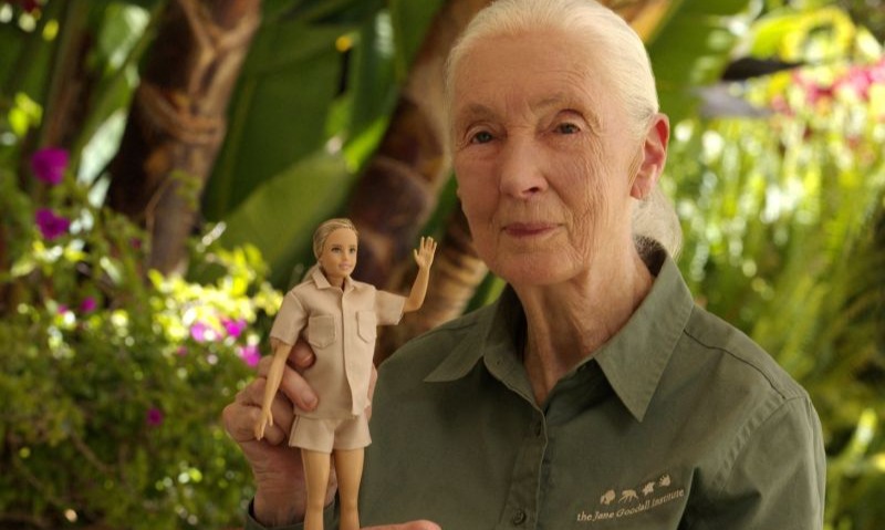 Barbie Luncurkan Boneka Ahli Primata, Jane Goodall