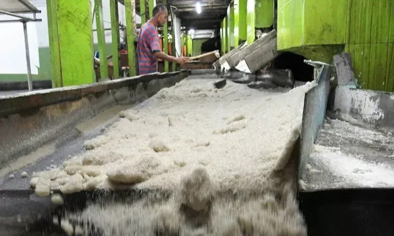 Kementan-ID Food Revitalisasi Pabrik Gula Demi Swasembada Gula