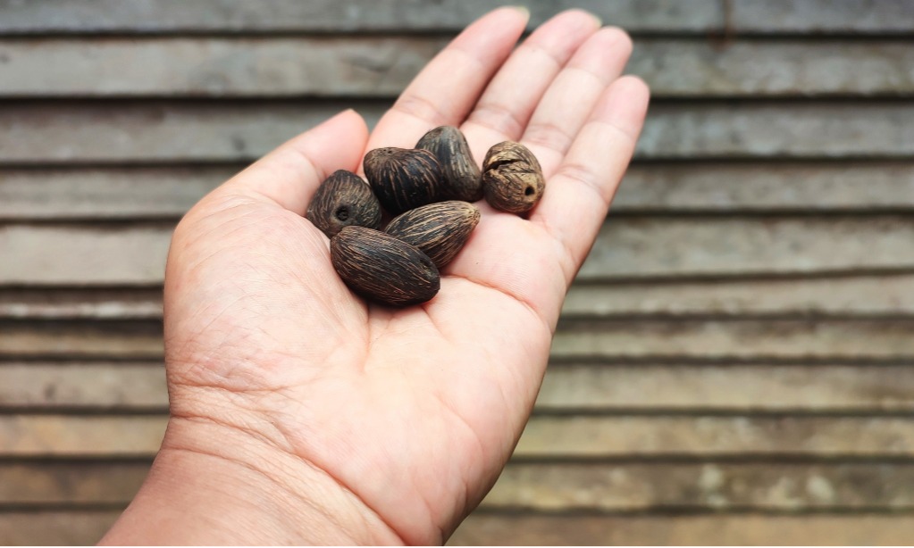 Potensi Besar Cangkang Sawit