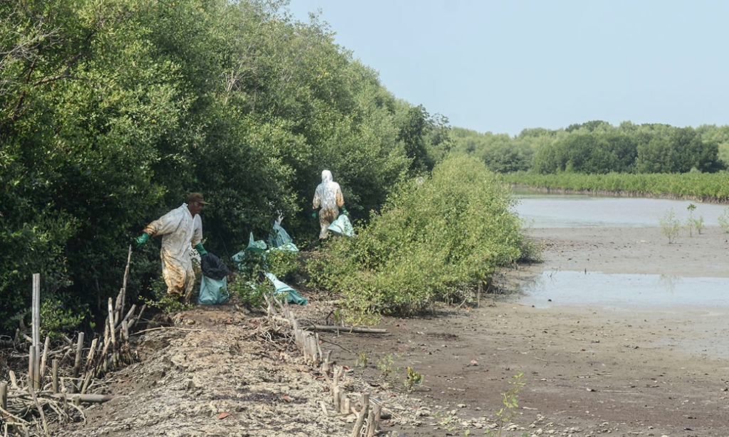 Pemkab Bekasi Dorong Revitalisasi Kawasan Bakau Muaragembong