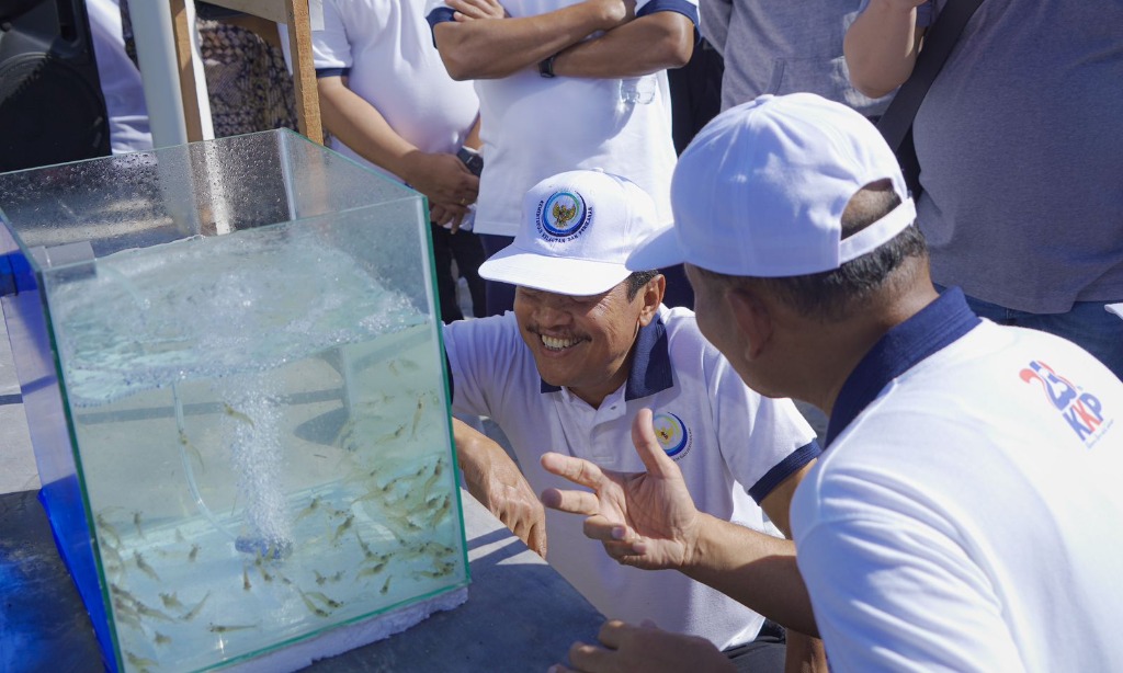 KKP Hasilkan Induk Udang Vaname