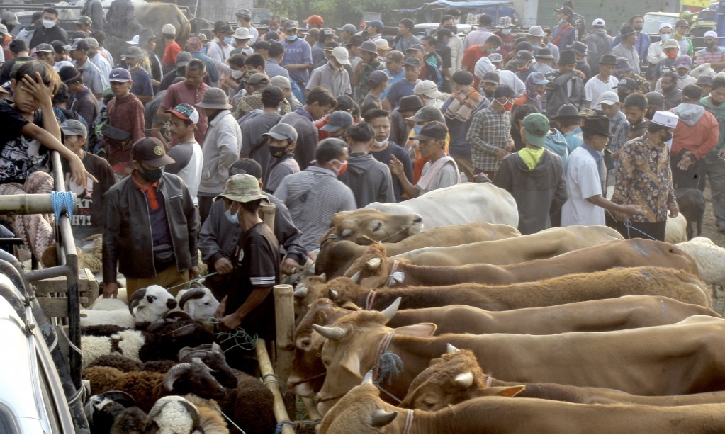 Pemkab Boyolali Buka Kembali Lima Pasar Hewan Setelah PMK Melandai