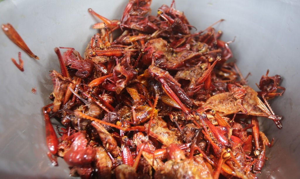 Mengintip Rekomendasi Wisata Kuliner Khas Di Gunungkidul