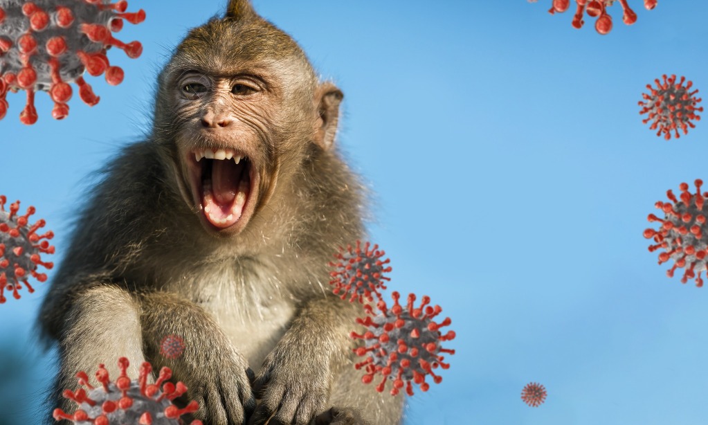 WHO Ganti Nama Cacar Monyet Menjadi Mpox