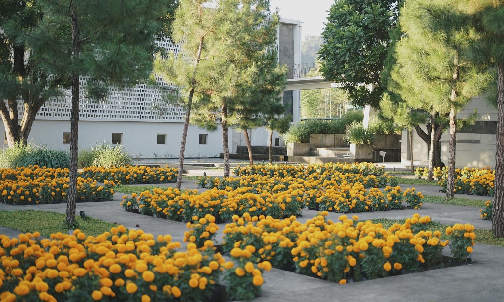 Rumah Atsiri Indonesia, Dari Pabrik Hingga Wisata Edukasi