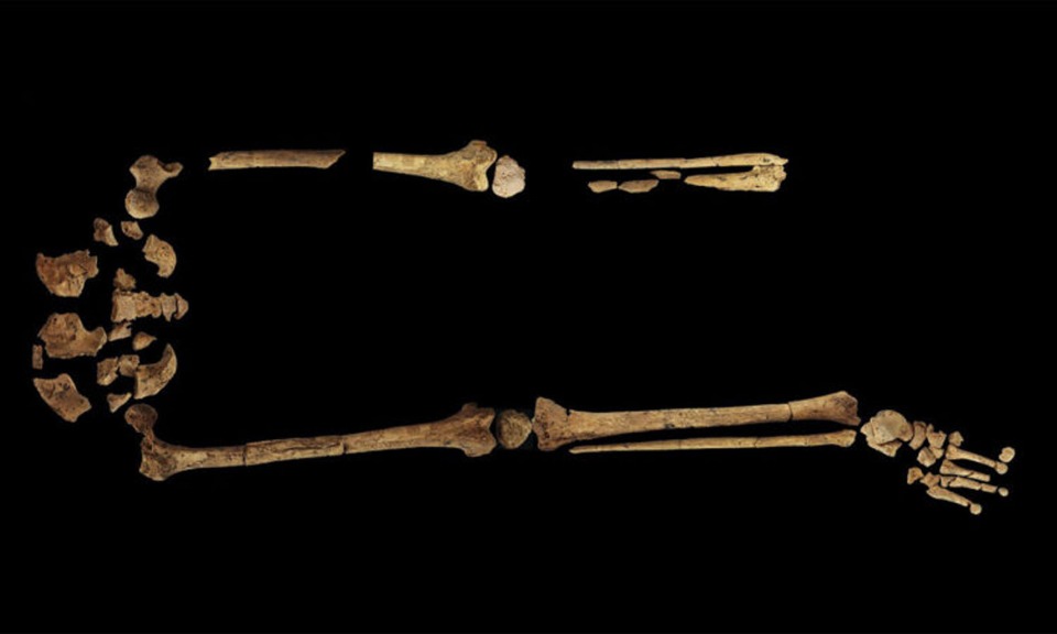 Lima Penemuan Ilmiah Paling 'Pecah' Sepanjang Tahun 2022