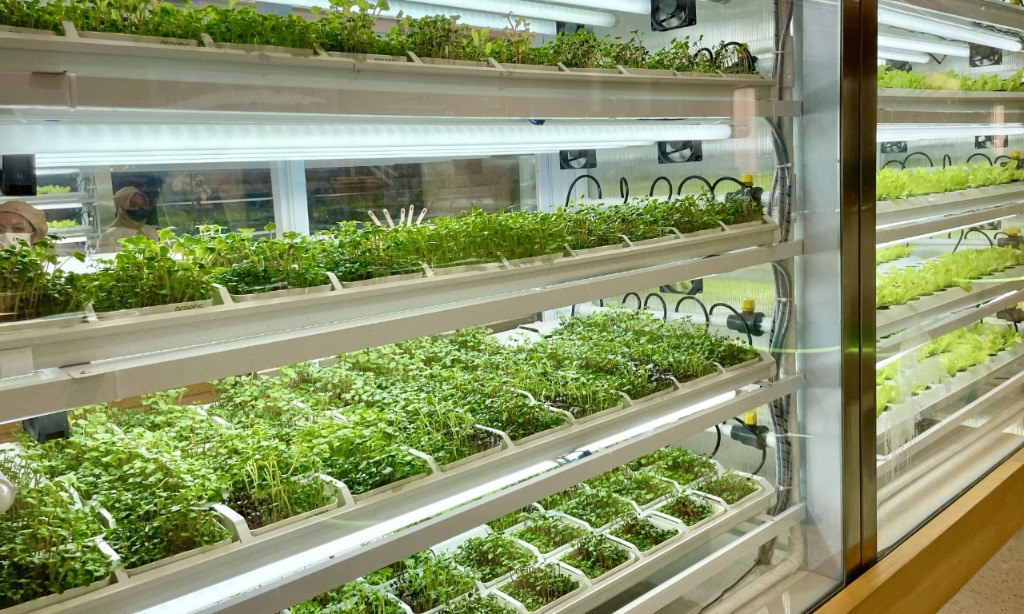 GREENS, Restoran Dengan Pusat Pertanian Multidimensi Pertama