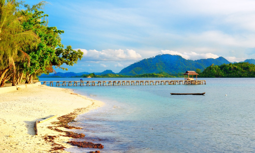 Teluk Tomini, Surga Dunia Bawah Laut Di Gorontalo