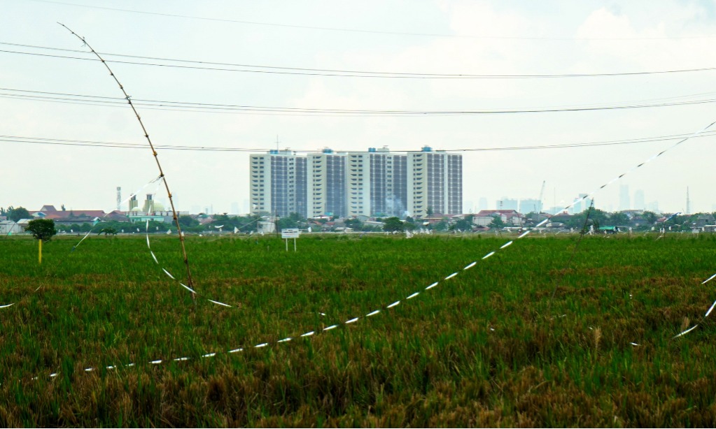 Paradoks Negeri Petani