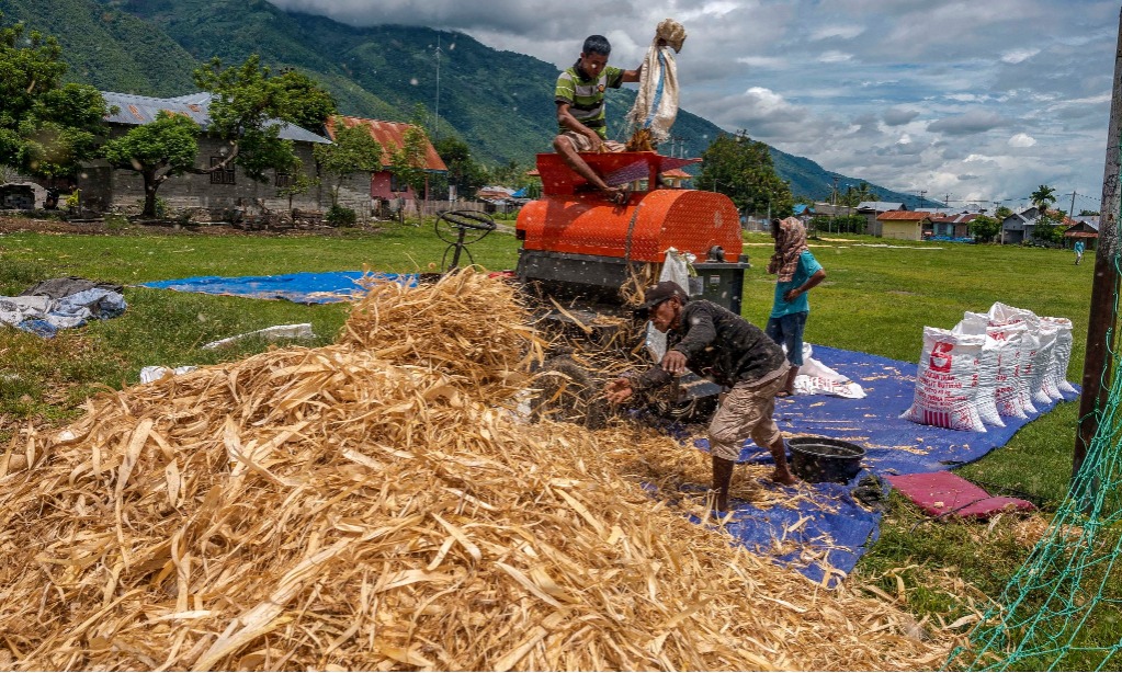 Bapanas-BUMN Rumuskan Skema Pendanaan <i>Offtaker</i> Produk Pertanian