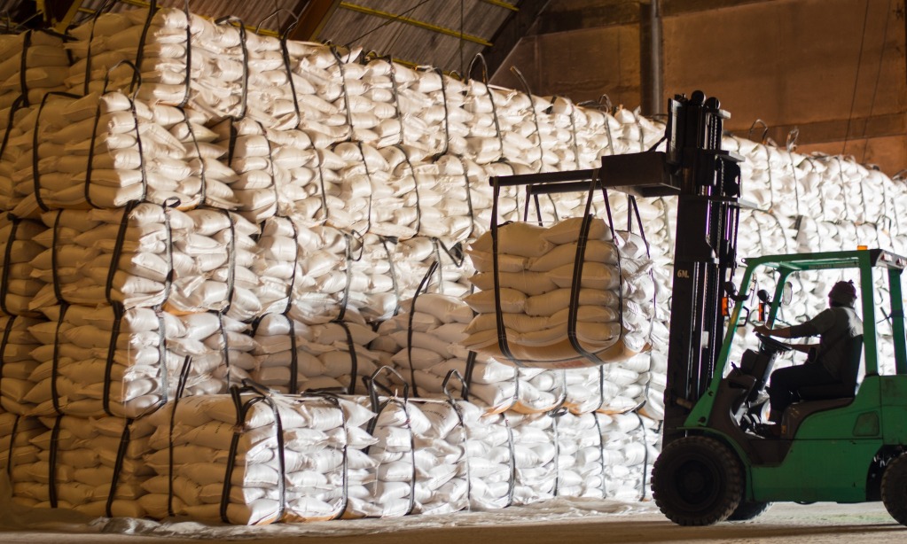 Tingkatkan Produksi Gula, Kementan Ekstensifikasi-Intensifikasi Tebu