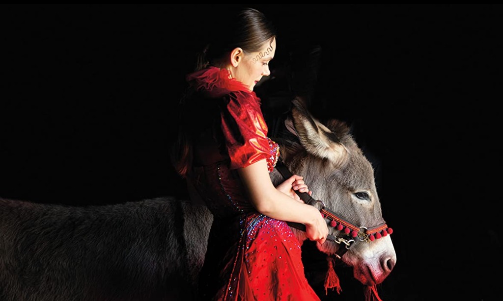 Deretan Film Fitur Internasional Nominasi Oscar Di KlikFilm