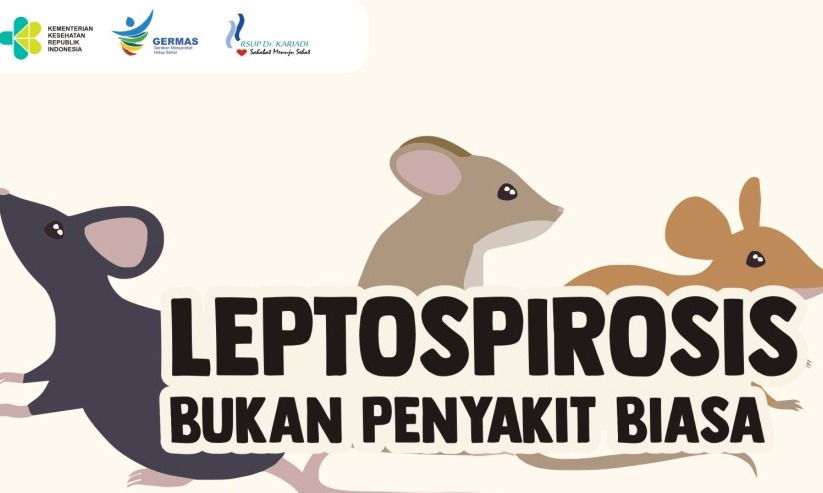 Kematian Akibat Leptospirosis Lebih Tinggi Dari Covid-19