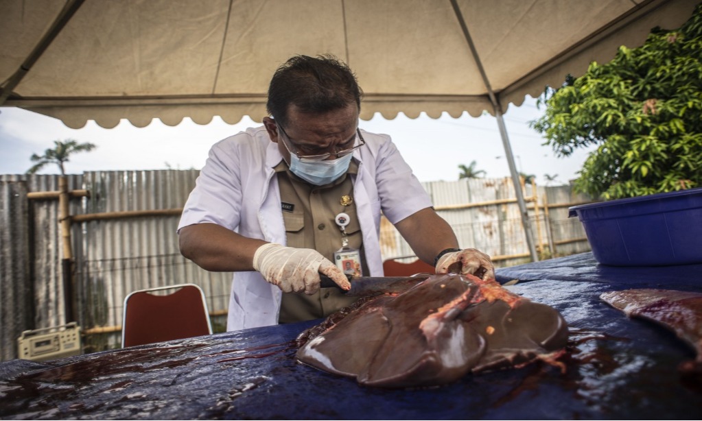 Warga Diserukan Masak Daging Agar Terhindar Dari Kecacingan