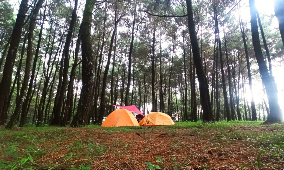 Memeluk Kesunyian Di <i>Camping Ground</i> Ciputri Tenjolaya