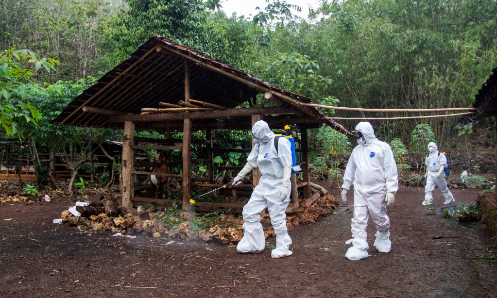 Pemkab Gunungkidul Perketat Lalu Lintas Ternak Cegah Sebaran Antraks