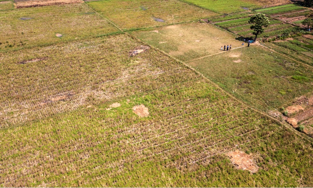 Pengamat Dorong Pemerintah Perpanjang Strategi Hadapi El-Nino