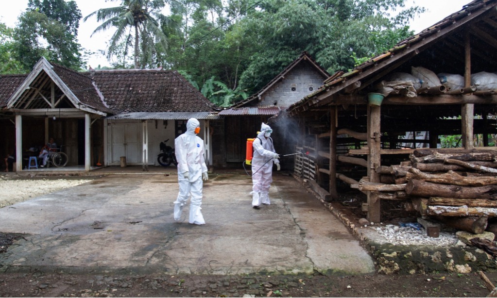 Kenali Gejala Antraks Pada Hewan Dan Manusia