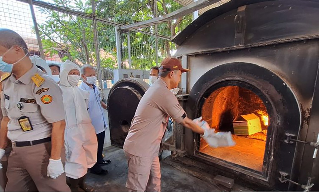 Karantina Pertanian Soetta Musnahkan Puluhan Ular Piton Dari AS