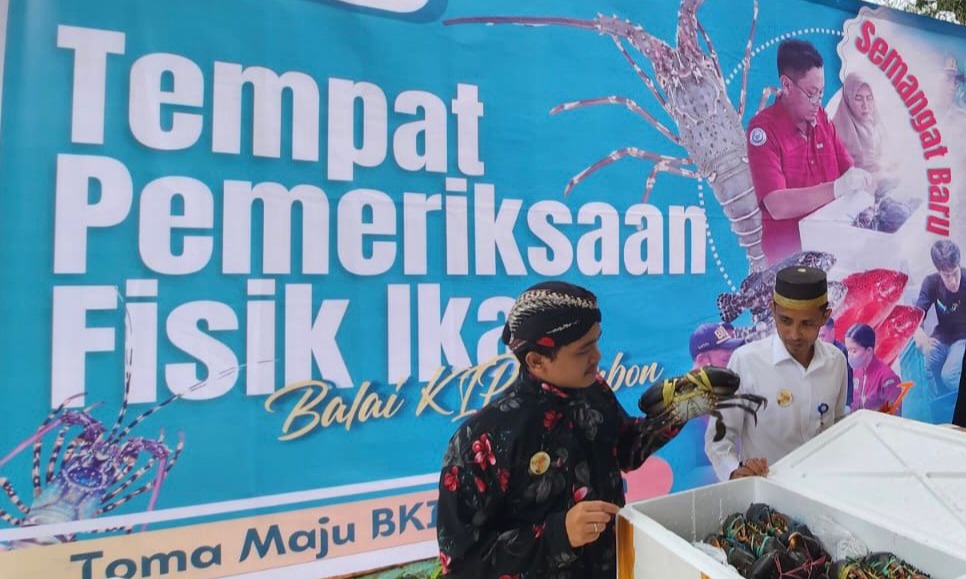 KKP Perluas Pasar Ekspor Kepiting Bakau Maluku ke Pasar ASEAN