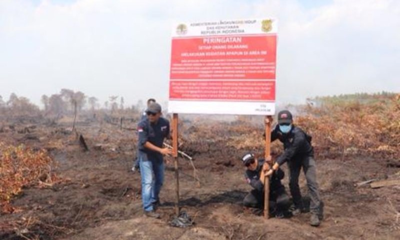 KLHK Segel Lahan Konsesi Yang Terbakar
