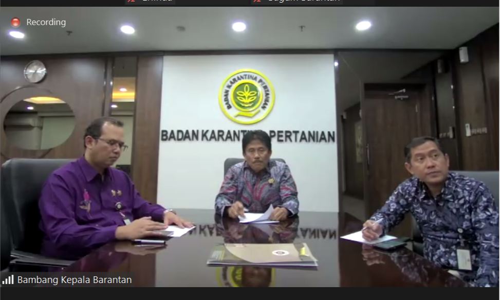 Barantan Umumkan Impor Sapi Asal Australia Kembali Dibuka