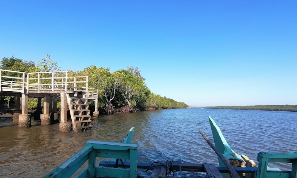 Hutan Bakau Bedul, Amazon-nya Indonesia Di Banyuwangi