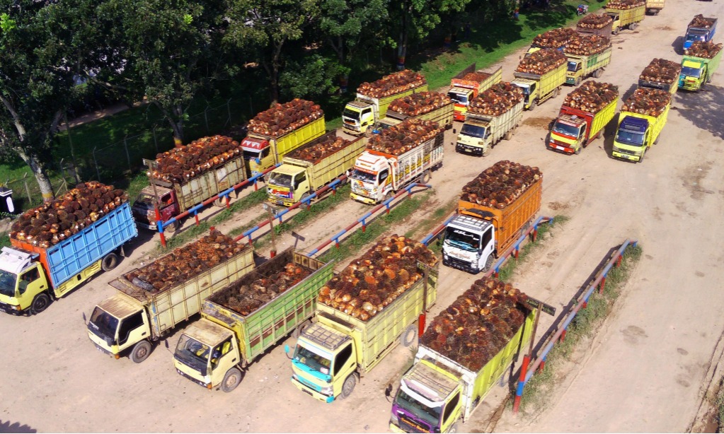 ICDX Komitmen Jalankan Tugas Pemerintah Jalankan Pasar Fisik CPO