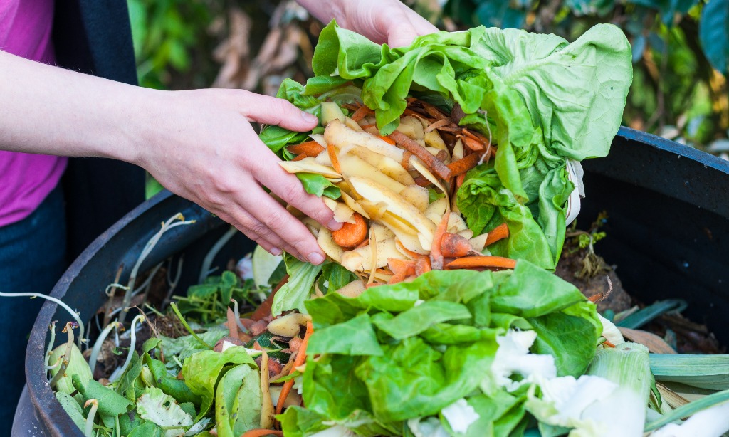 Rugi Food Loss Rp550 Triliun, Kementan-BRIN Bahas Teknologi Pascapanen