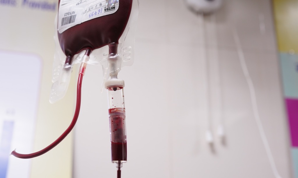 Mengenal Hubungan Dan Perbedaan Talasemia Dan Anemia