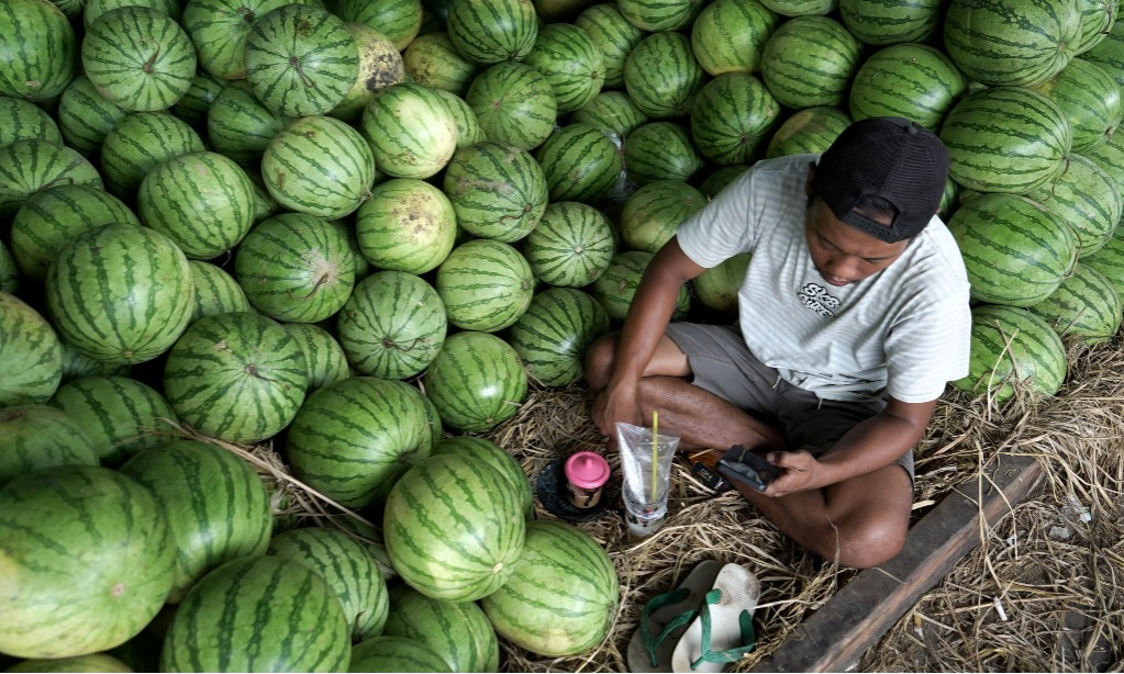4 Negara Produsen Semangka Terbesar Dunia