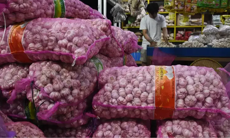 Ombudsman Temukan Dugaan Maladministrasi Izin Impor Baput di Kementan