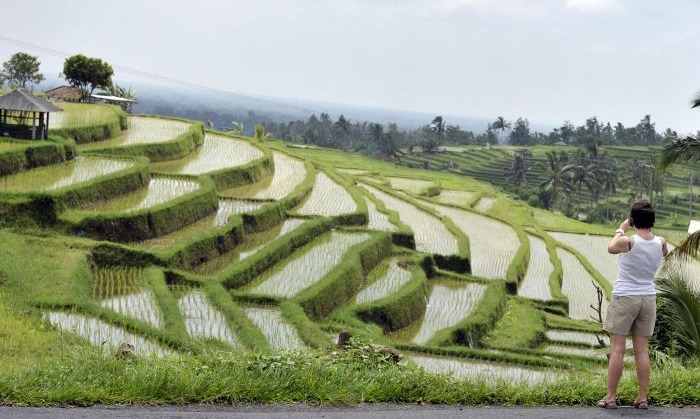 UNESCO Sebut Subak Wujud Nyata Relasi Manusia Dengan Alam