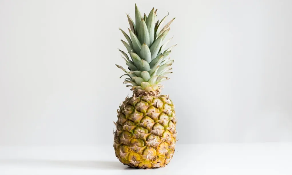 Mahasiswa UGM Kembangkan Obat Kanker Kolon Dari Nanas