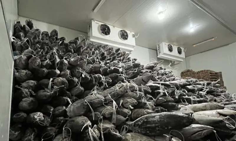 Biak Numfor Perlu Dukungan Sektor Logistik