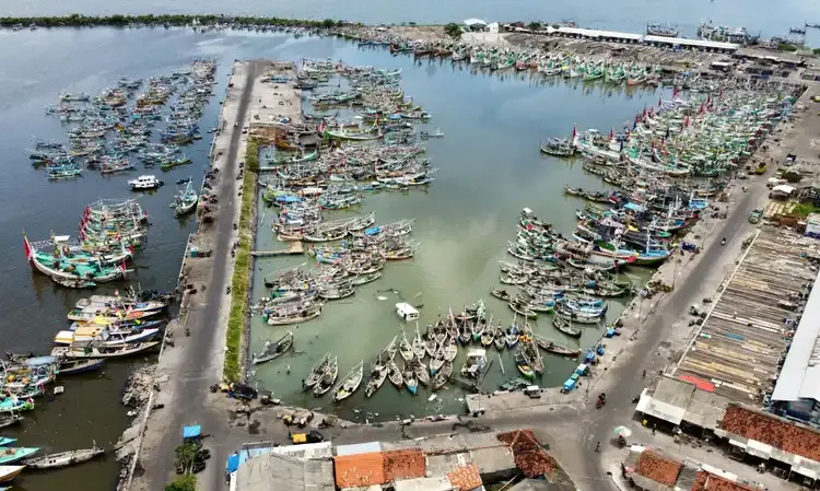 Permudah Perizinan Pemanfaatan Ruang Laut, KKP Luncurkan e-Sea