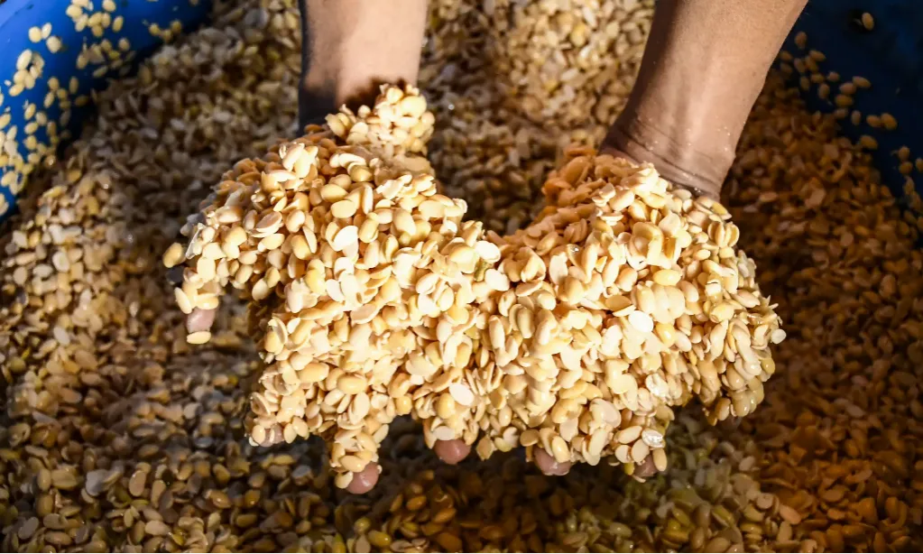 Bulog Waspadai Pendangkalan Terusan Suez Pengaruhi Impor Pangan RI