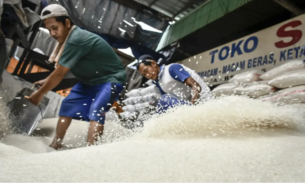 Presiden Jokowi Setujui Impor Beras 2 Juta Ton