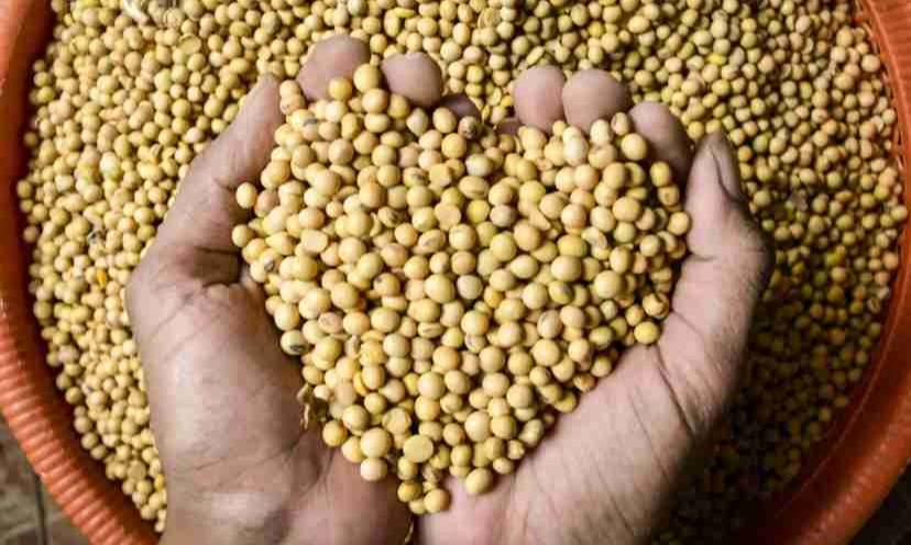 Bapanas Minta Bulog Segera Impor Kedelai