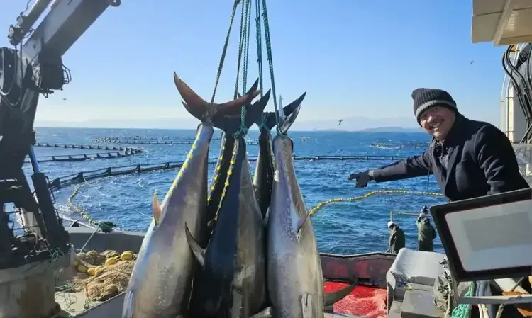 Gandeng UNIDO, KKP Kembangkan Sistem Jaminan Mutu Perikanan