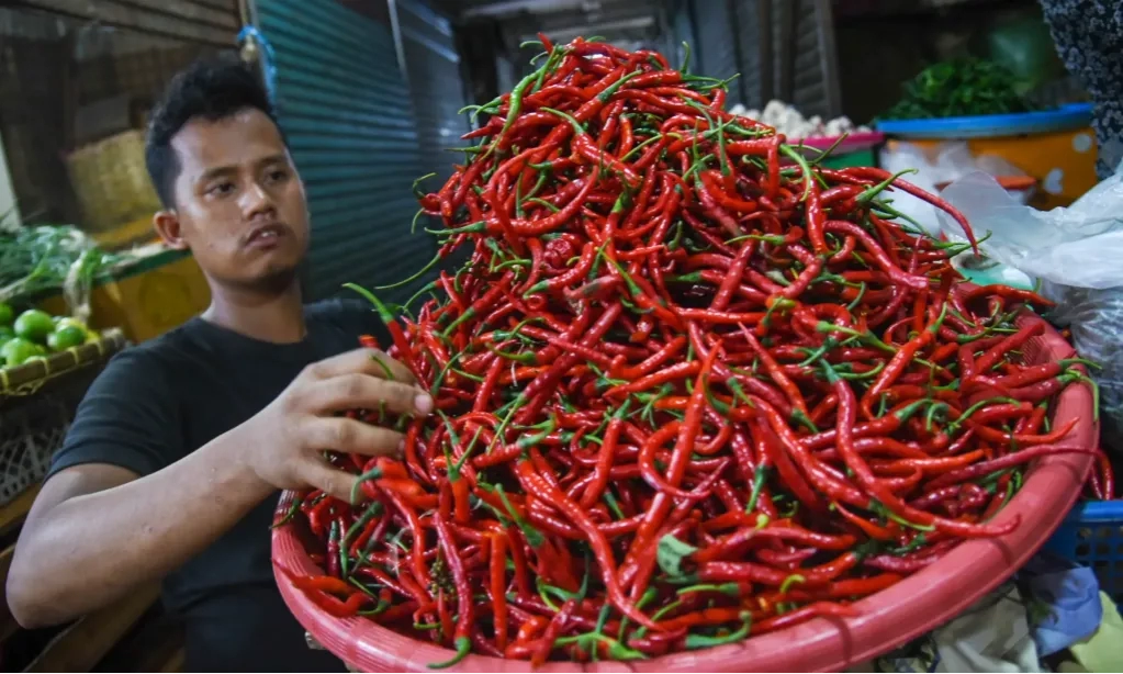 Harga Cabai Merah, Migor, Beras, Hingga Telur Dan Ayam Terus Naik