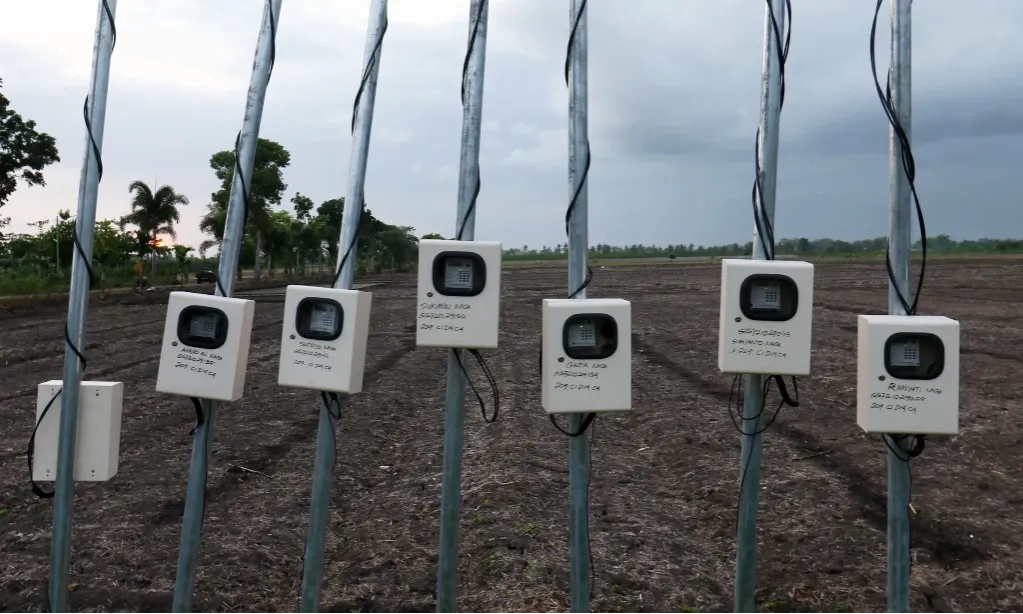 Elektrifikasi Pertanian Dorong Petani Bantul Tanam Sayuran