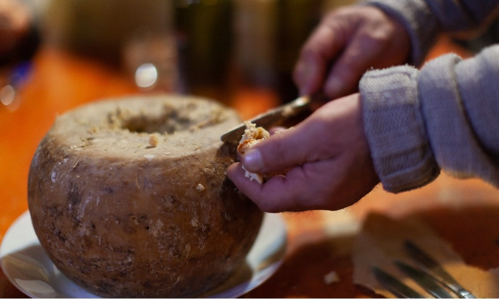 Casu Marzu, Keju Penuh Parasit Favorit Orang Sardinia