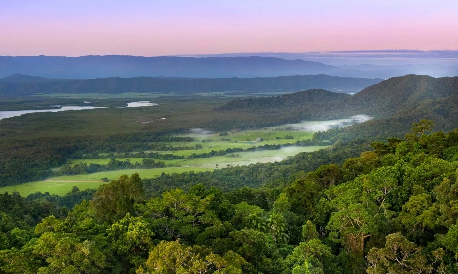 NTT Group Dan ClimateForce Buat Hutan Hujan Cerdas Pertama Di Dunia