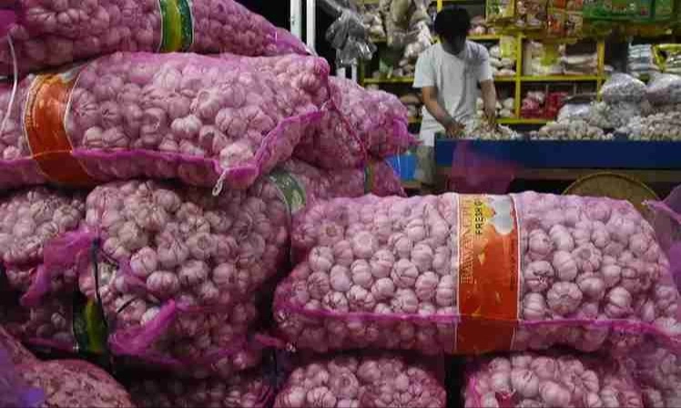 Ombudsman Temukan Masalah Rekomendasi Impor Bawang Putih Kementan