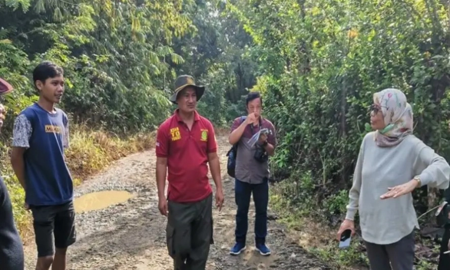 BRIN Temukan Rambut Harimau Jawa Yang Dinyatakan Punah
