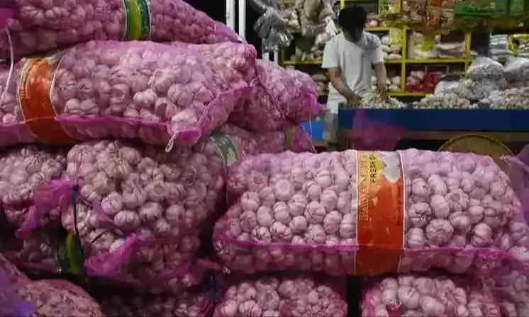 <p>Kementan Tepis Tuduhan Ombudsman Soal Maladministrasi RIPH Bawang Putih </p>