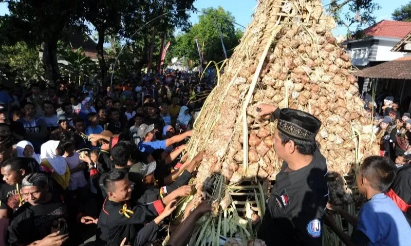 <p>MUI: Lebaran Ketupat Tidak Bertentangan Dengan Ajaran Islam</p>